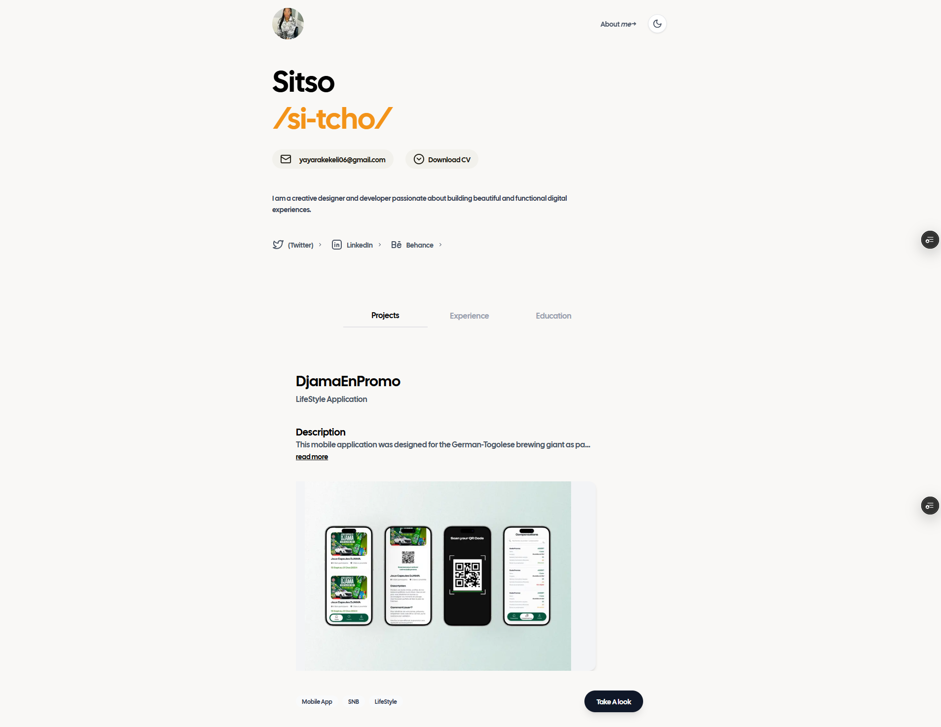 Portfolio Creative Sannin